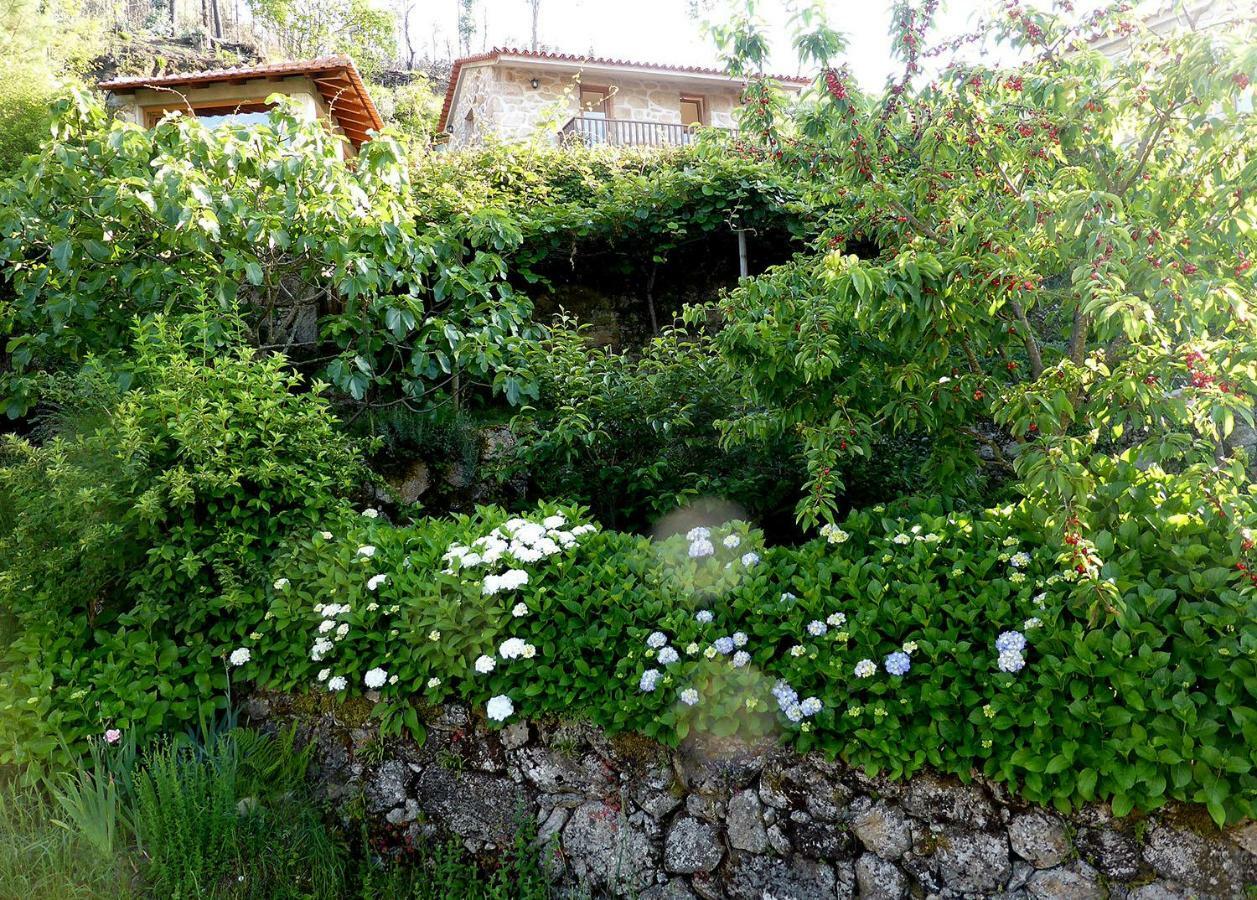 Casa Da Eira Velha Villa Vale de Cambra Exterior foto